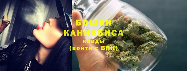 дмт Новокубанск