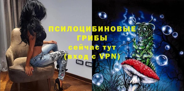 соль курить ск Новозыбков