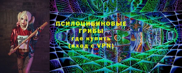 дмт Новокубанск
