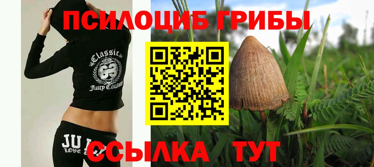 Когалым  Псилоцибиновые грибы прущие грибы  Вход с VPN 