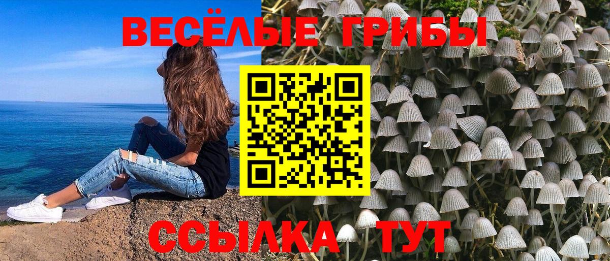 Галлюциногенные грибы Psilocybe Когалым