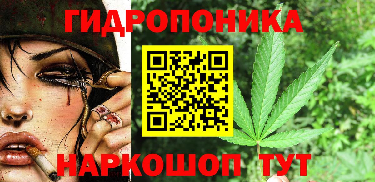 Конопля план Когалым